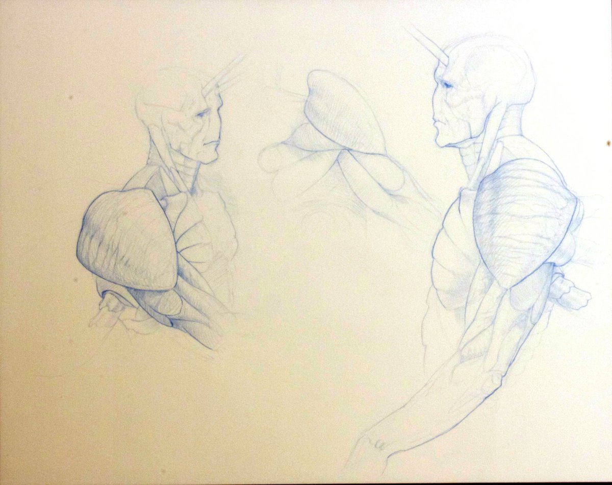 Just found these anatomy studies of one of my characters from art school 15 years ago.

Hard to believe it was that long ago.