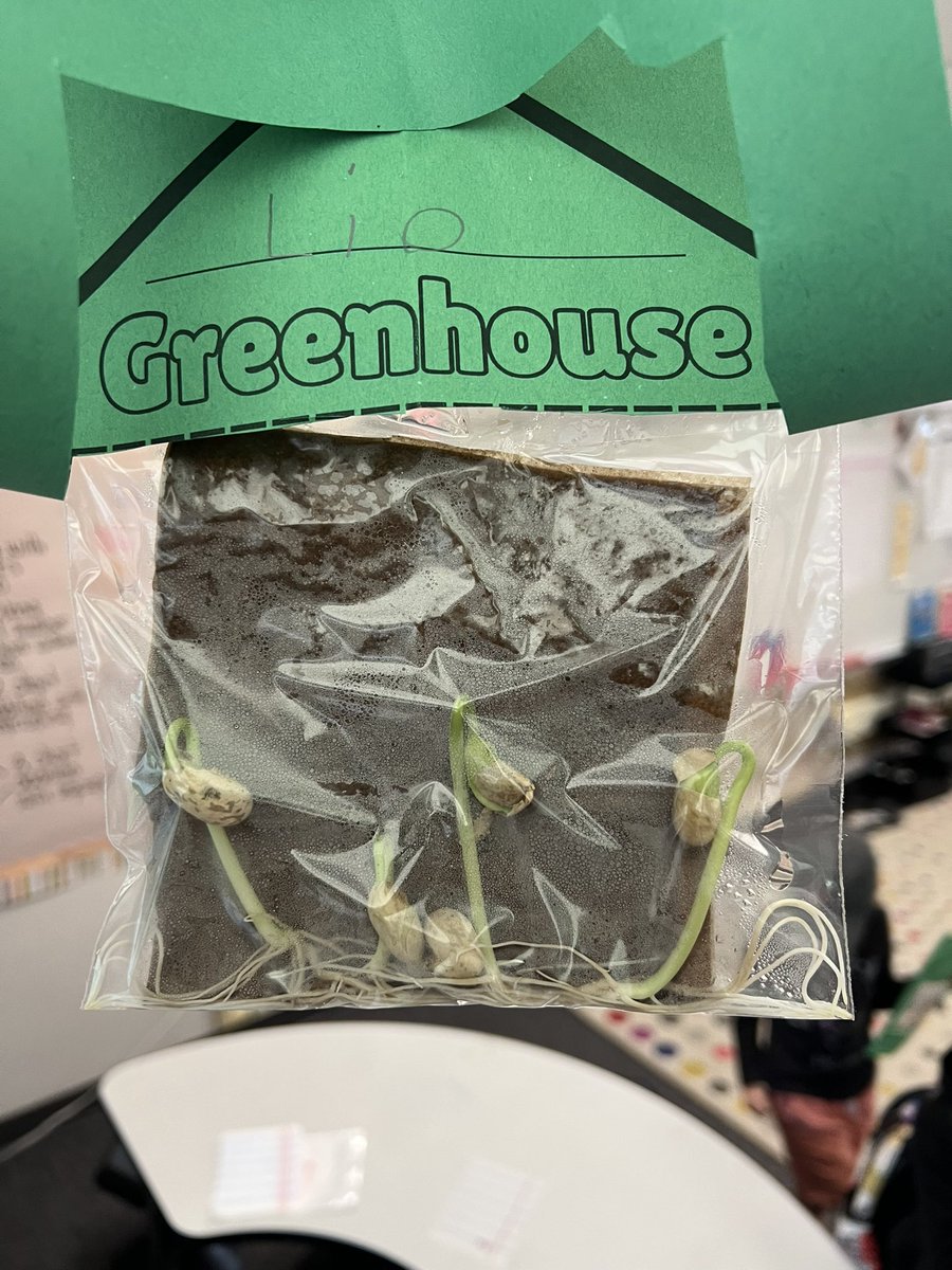 Miss Ellison tweet media