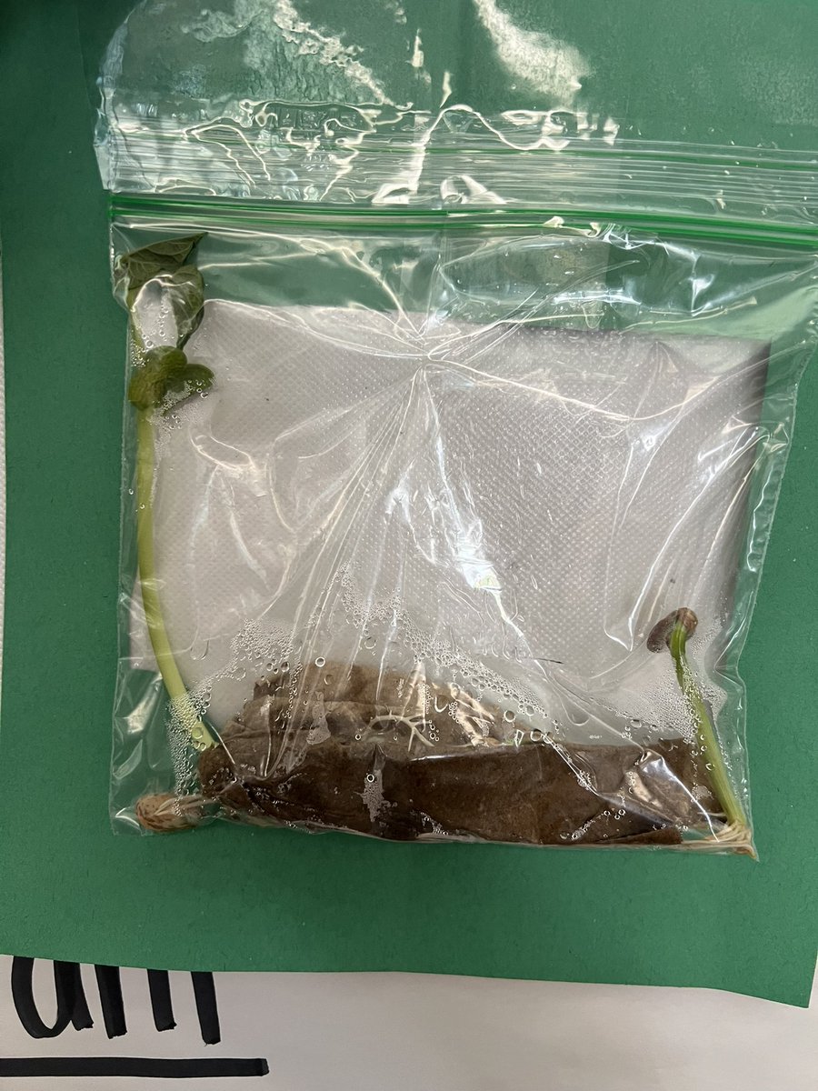 Miss Ellison tweet media