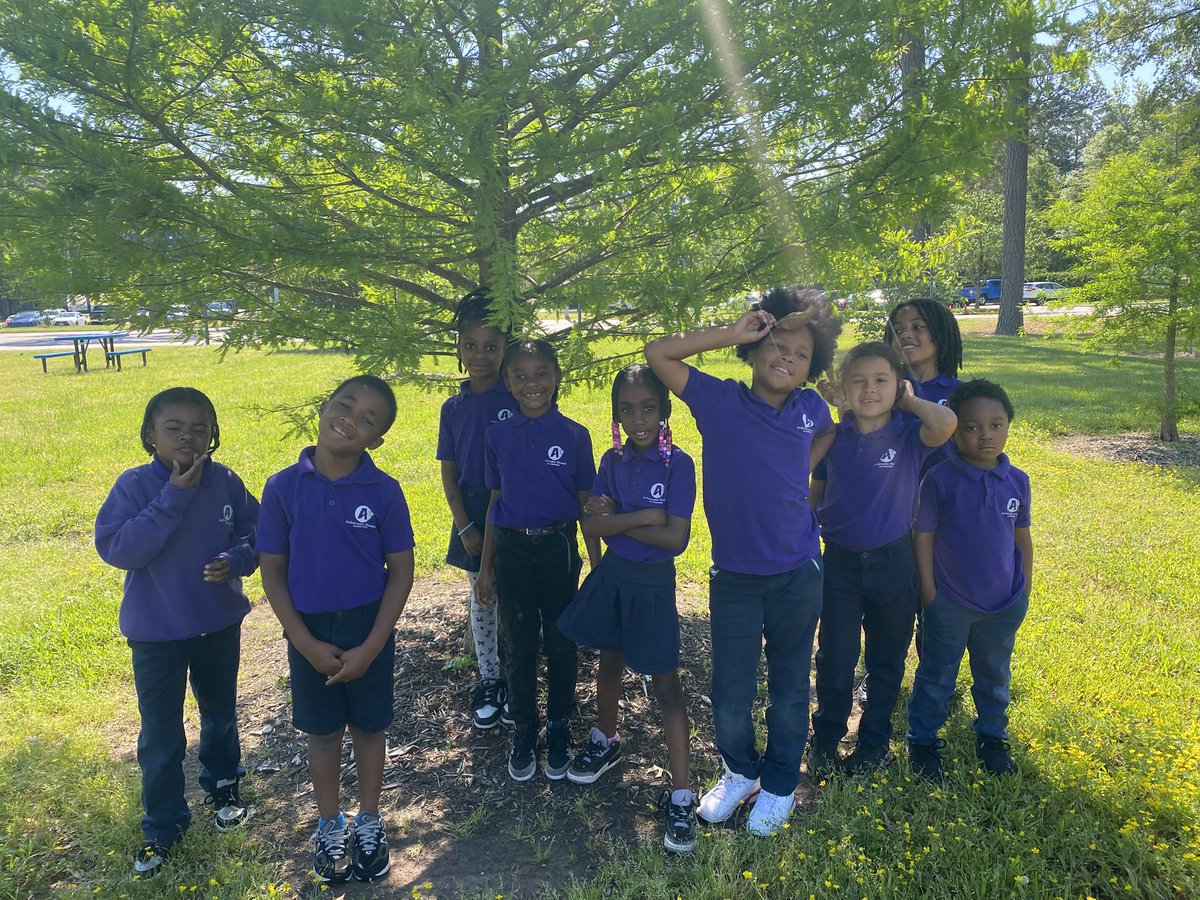 marietculver's tweet image. First Graders exploring the wonder of our natural world with our tree canopy and "The Gifted Tree" @SeatackDream @vbschools @VBGifted #inquiry
