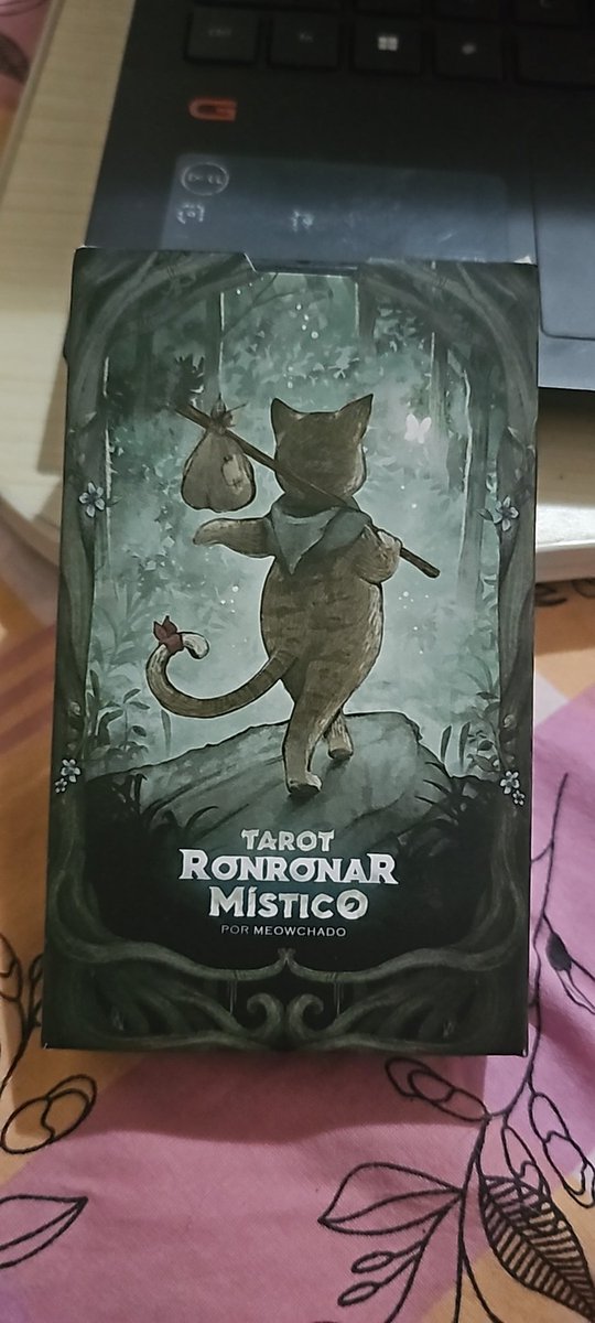 Chegou hj🥰 <a href="/Meowchado/">Meow (miau)</a>