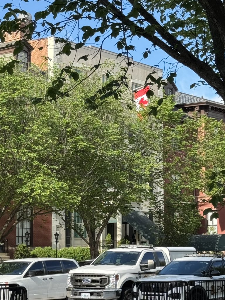 Shauna Hemingway tweet media