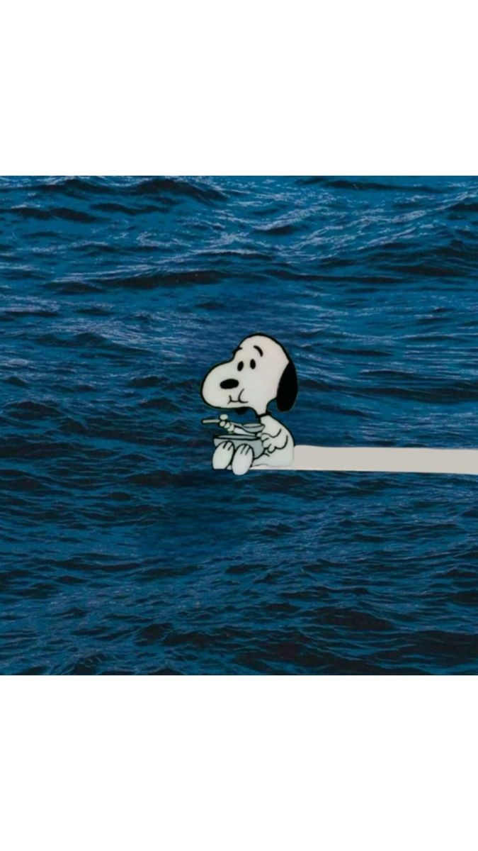 Snoopy core