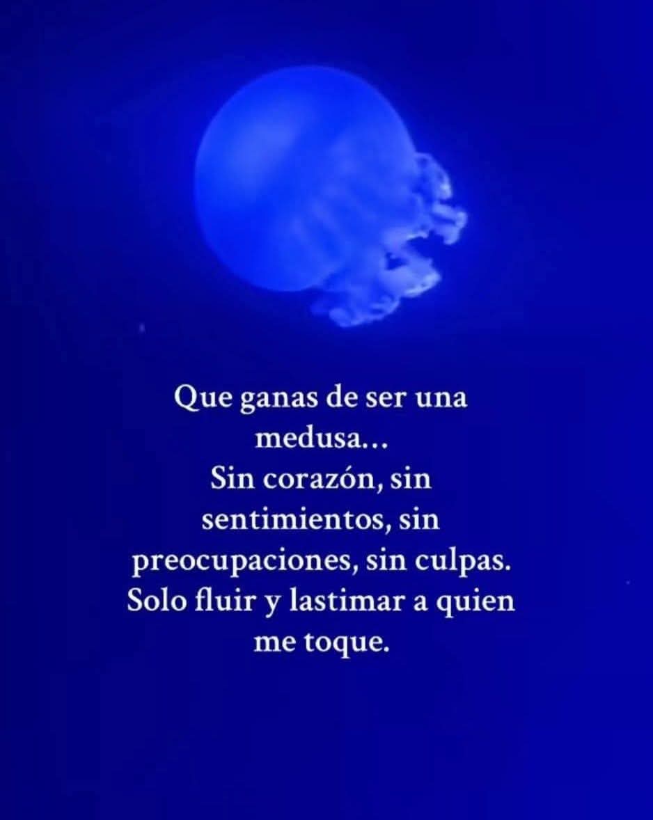vampiro emocional (@misputaspoesias) on Twitter photo 
