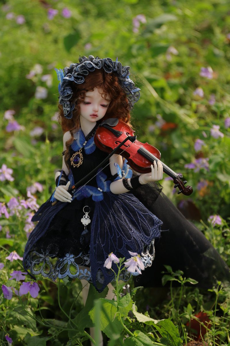 おはようございます。( ﹡ˆoˆ﹡ )