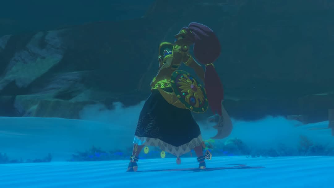 EstebanCervs's tweet photo. Los Campeones de Hyrule. #NintendoSwitch https://t.co/40e3z1La7e