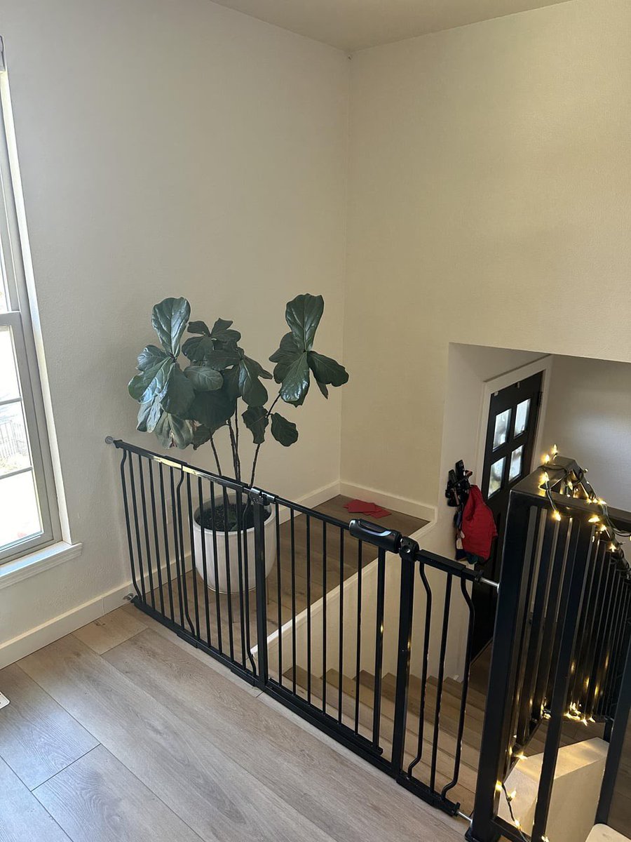 TechBitReview's tweet image. What would you put here 🤨 (besides a houseplant)