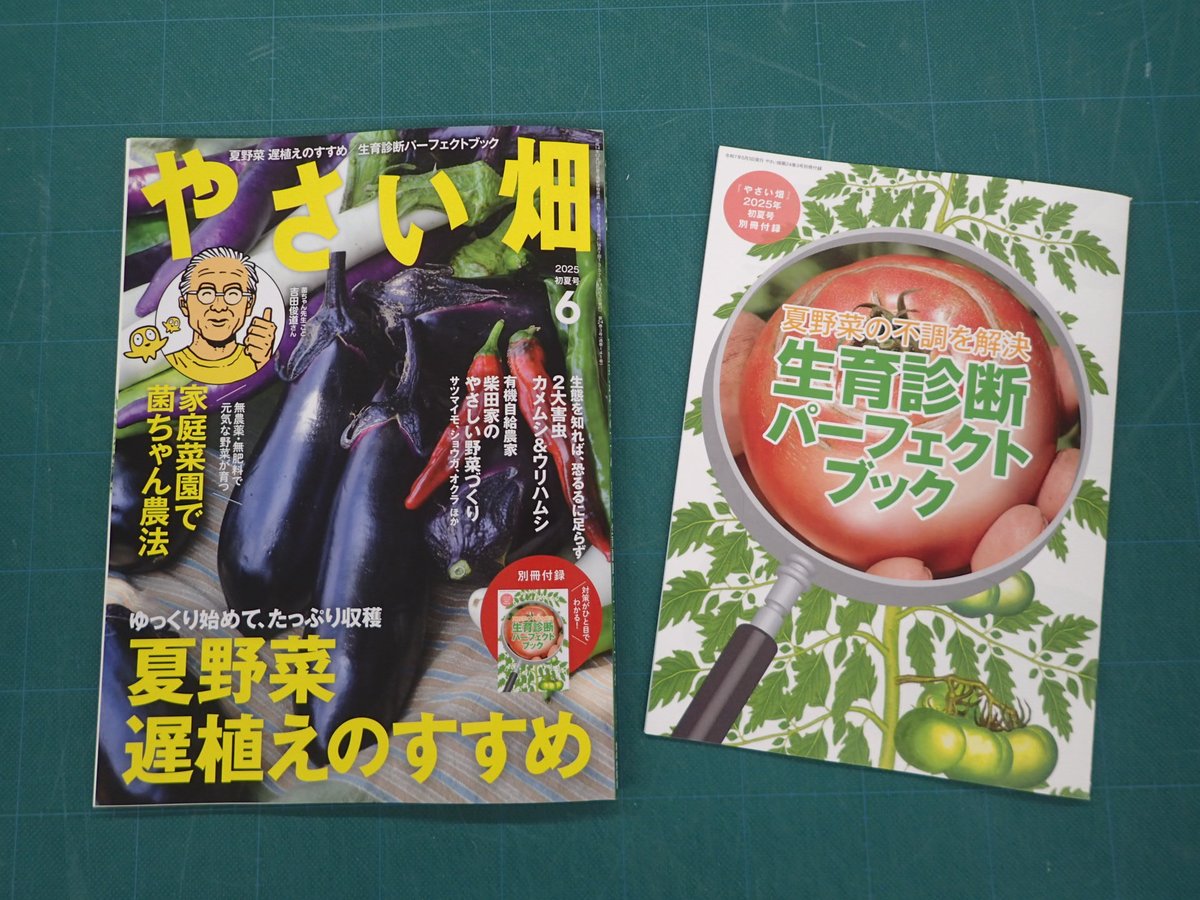 ○×写真でわかる おいしい野菜の生育と診断 | みずほアグリサポート