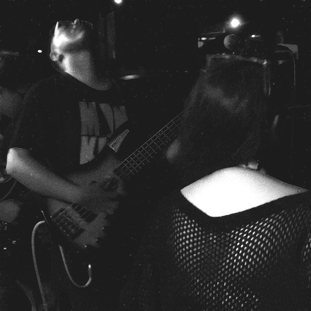 Monkey Roots tweet media