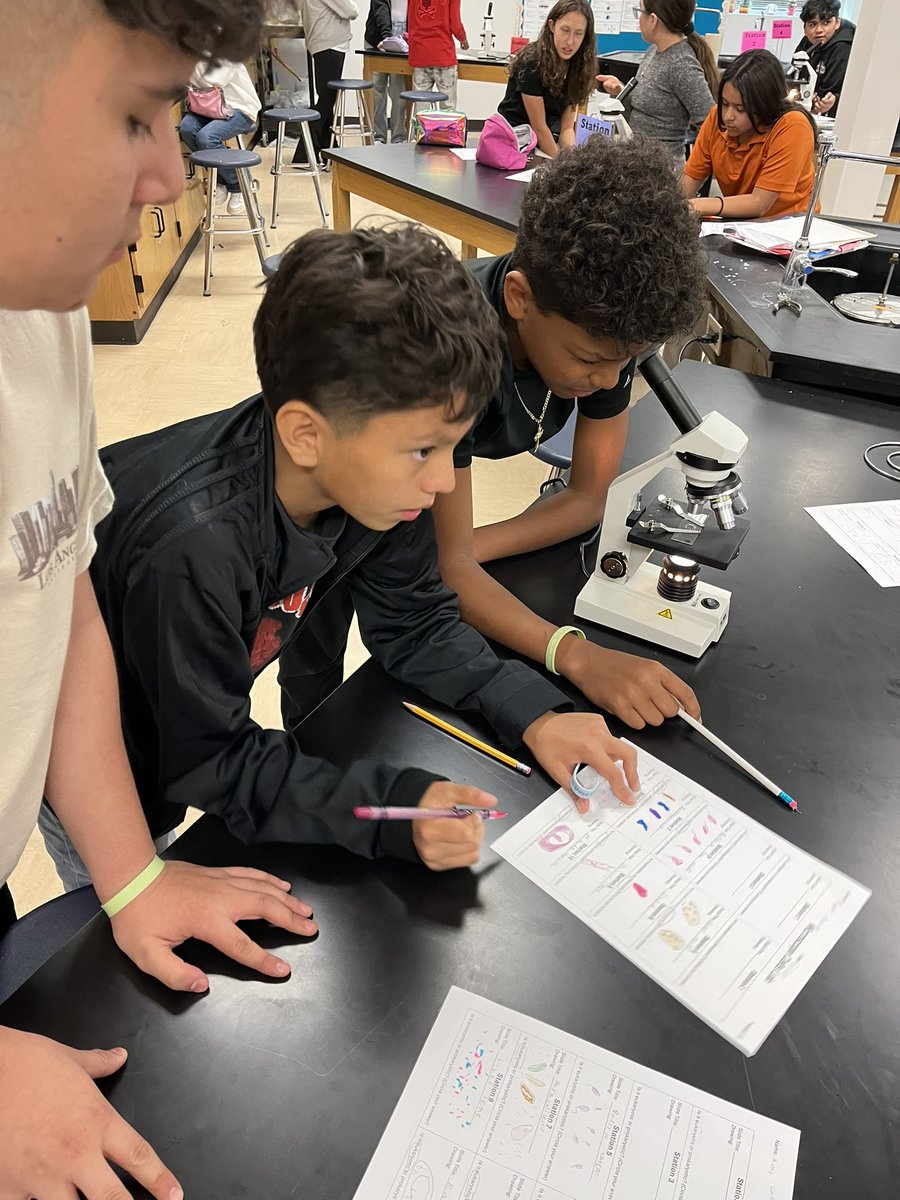 πΌπ£ππππ β. π½ππ π£ππ€, π. πΌπ. (@enflores_mpms) on Twitter photo Ms. Sanchezβs student had fun exploring the microscopic world today. They named what they were observing, drew those items and labeled. Loved seeing their excitement as they explained it to me! <a href="/Puentes_MS/">Greta June Brasgalla</a> <a href="/SISD_Herrera/">Enrique Herrera</a> #TeamSISD #ALLIN π©΅π§‘π¬ Ms. Sanchezβs student had fun exploring the microscopic world today. They named what they were observing, drew those items and labeled. Loved seeing their excitement as they explained it to me! <a href="/Puentes_MS/">Greta June Brasgalla</a> <a href="/SISD_Herrera/">Enrique Herrera</a> #TeamSISD #ALLIN π©΅π§‘π¬