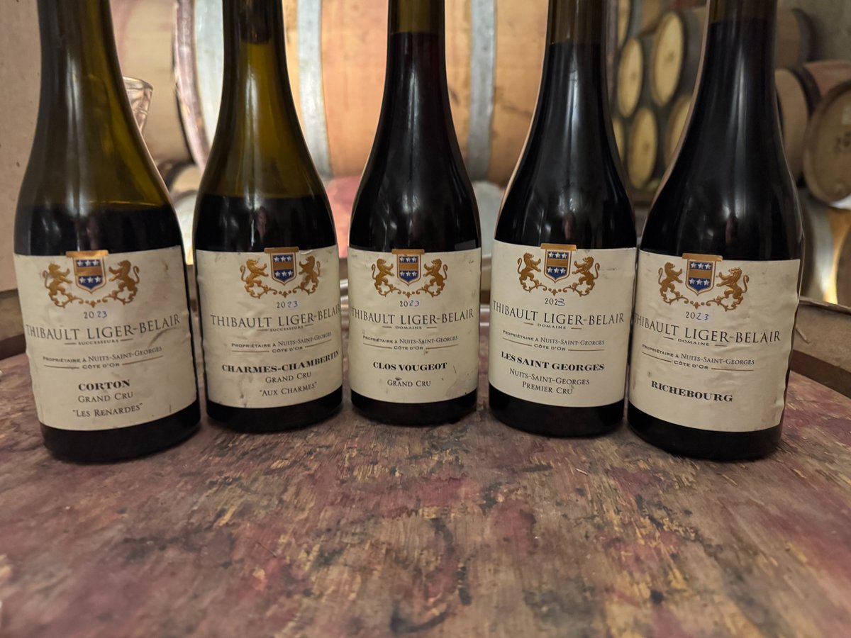Thibault Liger-Belair lineup from the cellar. It was astonishing! Despite the wines being very young, they hold so much potential 🍇🙏
