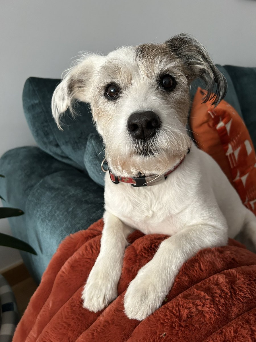 Perky and well today, pals 🤞Thank you for all of my special birthday wishes 🎉🎂🥰