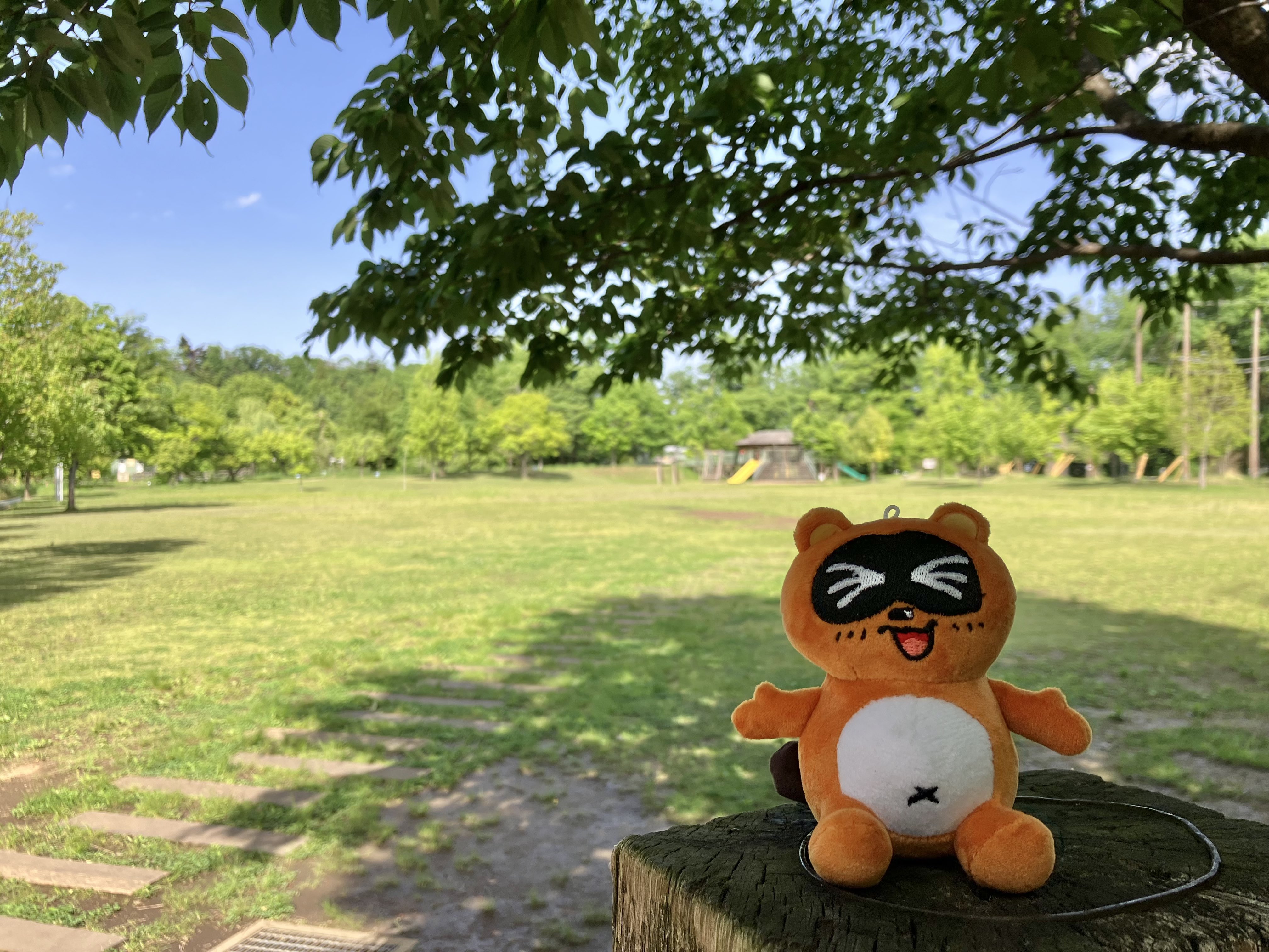高尾のたぬきち on X: 
