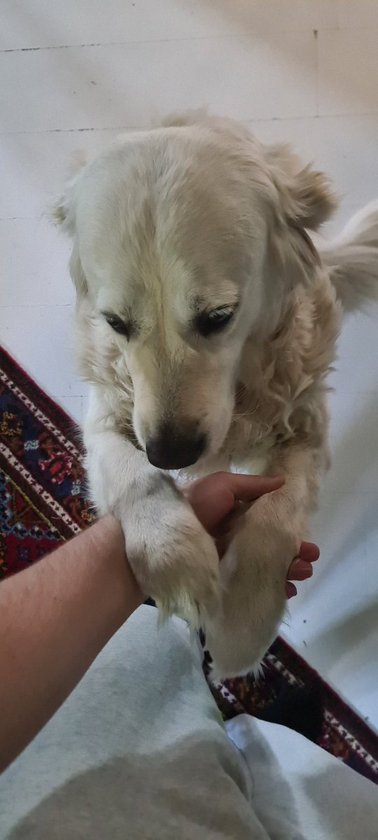 Luna says good morning.
Say good morning back.