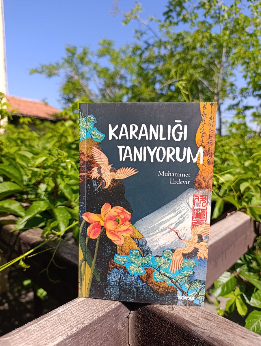 Tarihsel akışını bozmak istiyorum bu metruk kronolojinin. 

Bir aynaya bakar gibi bakıyorum dünyaya, gerçek ama sanki tam anlamıyla gerçek değilmiş gibi. Hem orada hem değil. Var olduğunu biliyorum ama dokunamıyorum. Bir şey olacak ve bir anda çatlayacak, dökülecek, binlerce