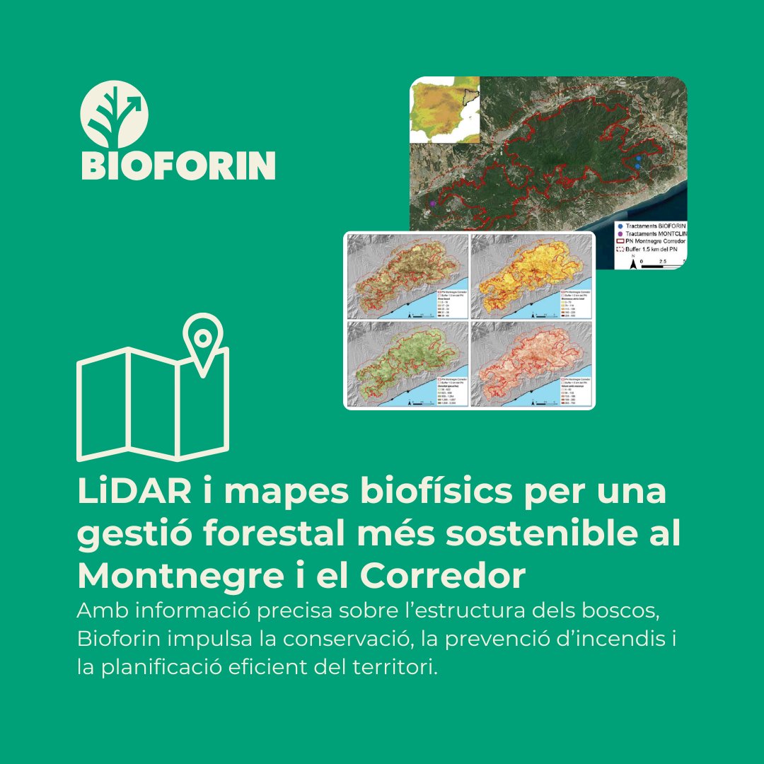 [CA]🗺️#LiDAR i mapes biofísics obren noves oportunitats al Montnegre i el Corredor

🌲Els MVBA, del <a href="/CREAF_ecologia/">CREAF</a> i l’<a href="/ICGCat/">ICGC. Generalitat</a>, aporten dades forestals clau per millorar la gestió, la conservació i la prevenció d’incendis

📑Consulta l'estudi👉 bit.ly/4jYTu94