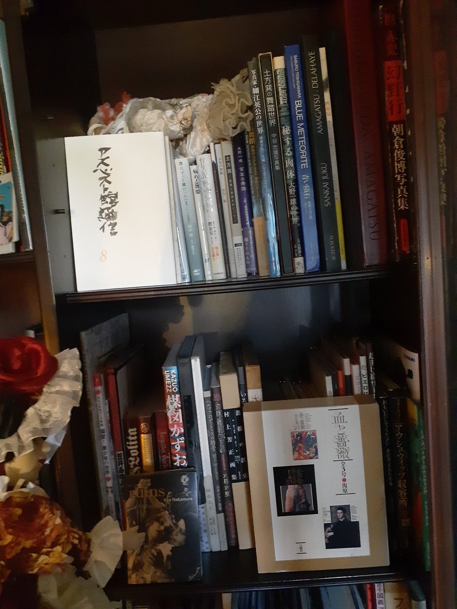 sakurai_yayoi's tweet photo. (*ФωФ)「あらこんにちは💕猫ちゃんもいるわ💕本がいっぱいね✨📖眠くなってきたわ…」
#Tococotte https://t.co/nsbeAVwxDU
