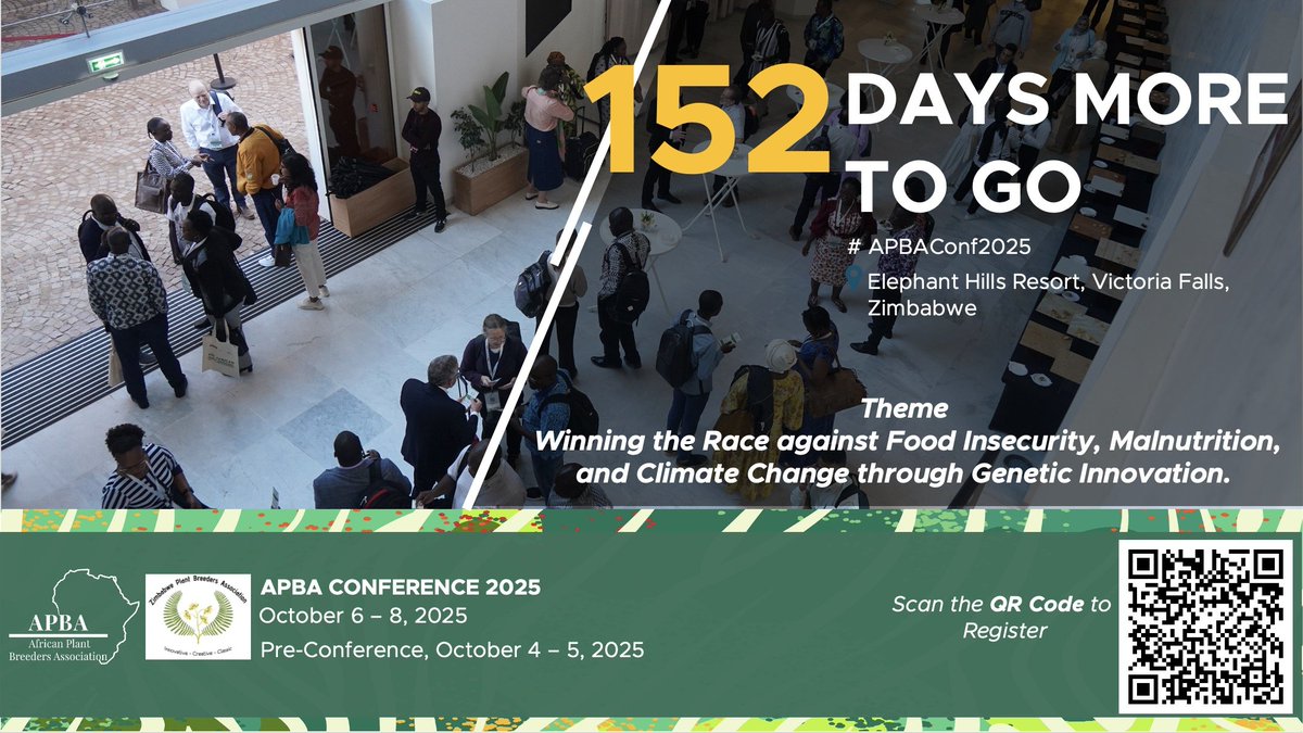 PlantAPBA's tweet image. 152  days more to the APBA Conference 2025 at Elephant Hills Resort, Victoria Falls, Zimbabwe!  We encourage you to visit our website for more details to register. 
africanplantbreeders.org

#APBACONF2025