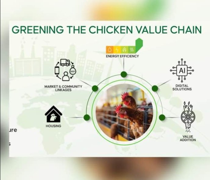 KASOMA VICTOR JOSEPH (@victorpainl) on Twitter photo Last week, stakeholders in Uganda and Burundi’s poultry sector participated in a groundbreaking capacity-building program ‘#GreeningtheChickenValueChain’led by @NAROMUZARDI in partnership with <a href="/Gudiefarm/">Gudieleisurefarm</a> & <a href="/UB_Rumuri/">Burundi University</a>.
Stay tuned for more information 😎. Last week, stakeholders in Uganda and Burundi’s poultry sector participated in a groundbreaking capacity-building program ‘#GreeningtheChickenValueChain’led by @NAROMUZARDI in partnership with <a href="/Gudiefarm/">Gudieleisurefarm</a> & <a href="/UB_Rumuri/">Burundi University</a>.
Stay tuned for more information 😎.