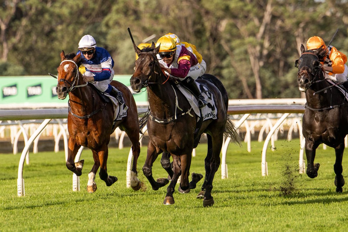 Clarke Bloodstock (@clarkebstock) on Twitter photo Dame Commander lands her first metropolitan victory with a smart ride by <a href="/RachelK11/">Rachel King</a>.
The $200k <a href="/inglis_sales/">Inglis</a> Easter purchase continues to deliver on her promise as she potentially eyes off a QLD Oaks prep 👀
<a href="/SegenhoeGroup/">Segenhoe Group</a> <a href="/georgiayphoto/">Georgia Young</a> Dame Commander lands her first metropolitan victory with a smart ride by <a href="/RachelK11/">Rachel King</a>.
The $200k <a href="/inglis_sales/">Inglis</a> Easter purchase continues to deliver on her promise as she potentially eyes off a QLD Oaks prep 👀
<a href="/SegenhoeGroup/">Segenhoe Group</a> <a href="/georgiayphoto/">Georgia Young</a>