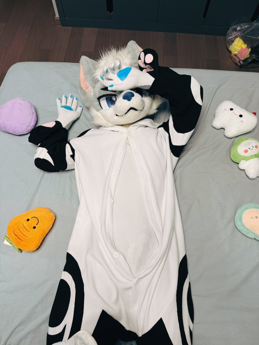 开袋即食？

📸：<a href="/XiMuwolf/">pork酱</a>