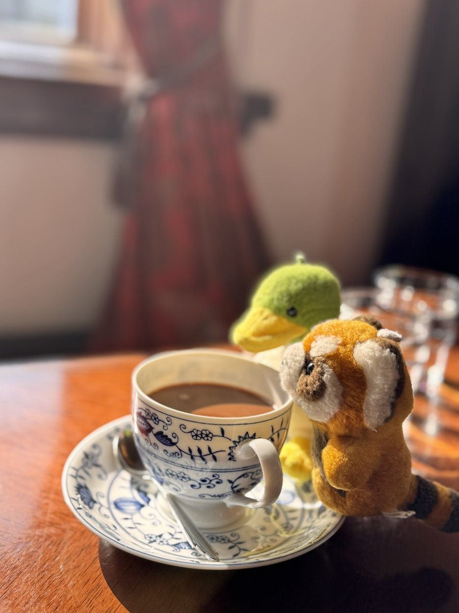 gogo_hammer's tweet photo. お高いココアﾊﾝﾏね( ╹ (ᴥ)╹)

ｸｧー🦆 https://t.co/cB6DINzSKF