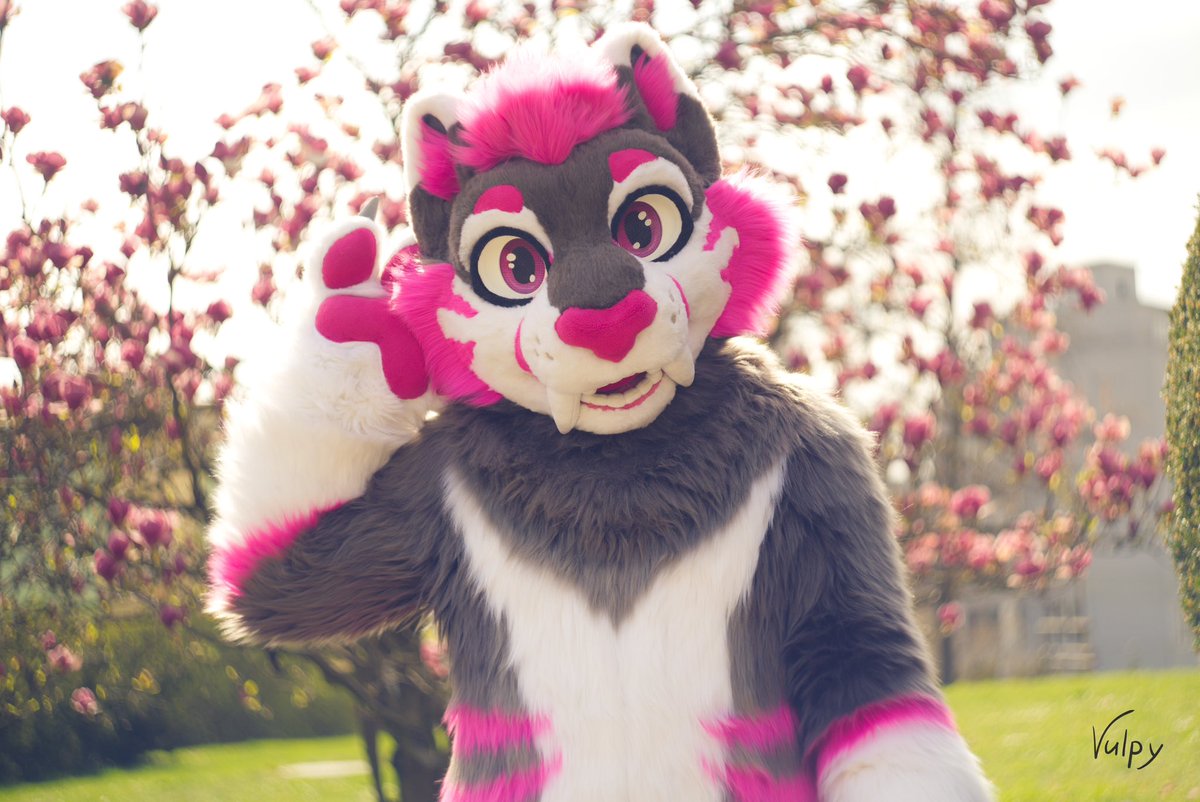 Finally warm outside 😎
 📷 <a href="/VulpyBlue/">Vulpy</a> 
🧵 <a href="/chilistudios/">Sweet Chili Studios</a>