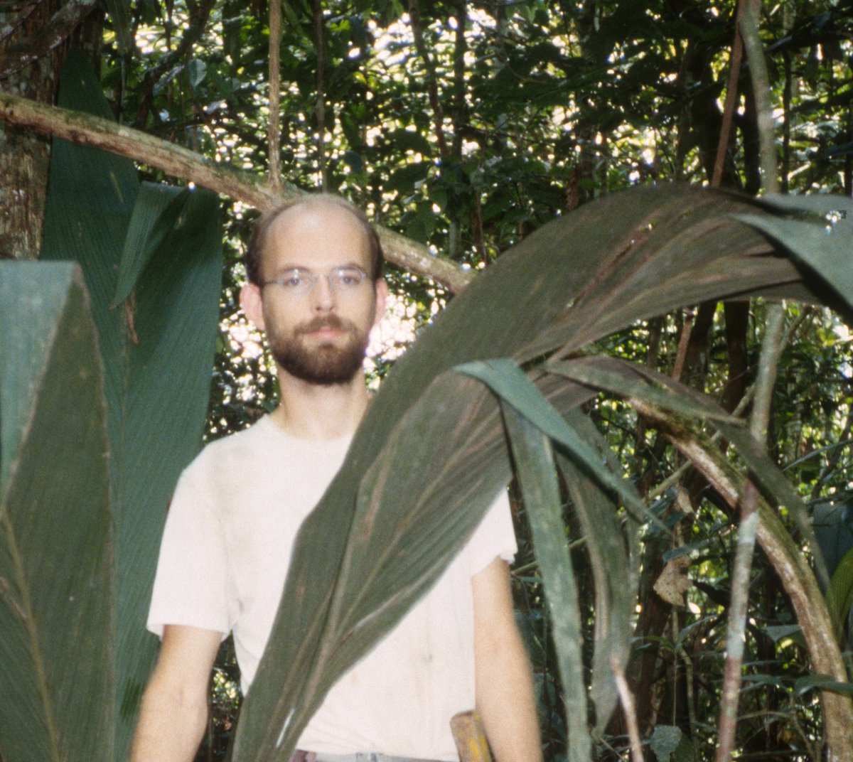 Amazonas og andre tropiske skove er under pres – og især dele af Amazonskoven risikerer at dø tilbage, med katastrofale følger for #biodiversitet, #klima &amp; #mennesker ♨️🍃🔥Jeg bidrager med felterfaring og forskning i <a href="/informeren/">Dagbladet Information</a>'s klimaserie information.dk/indland/2025/0…