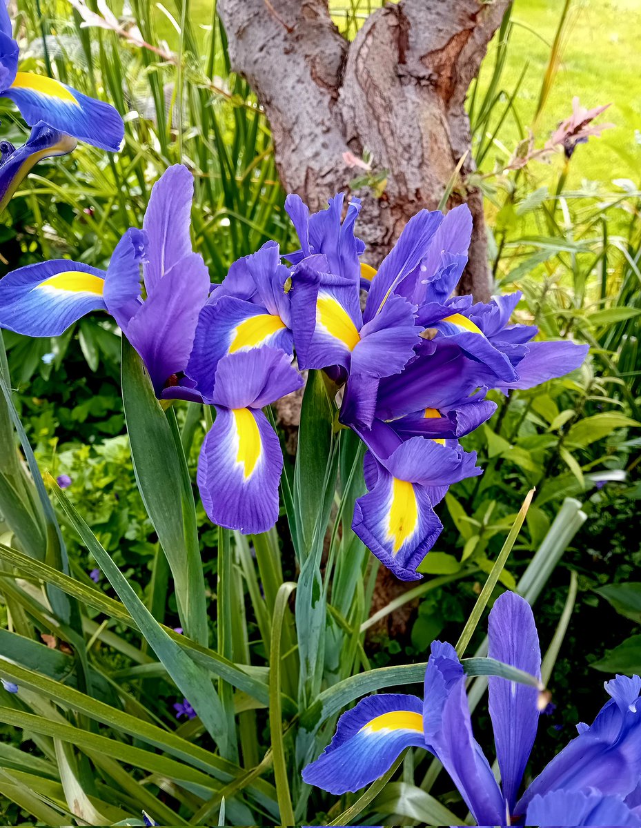 Good morning my friends, have a wonderful Wednesday and take care 😘 Always be kind 💞