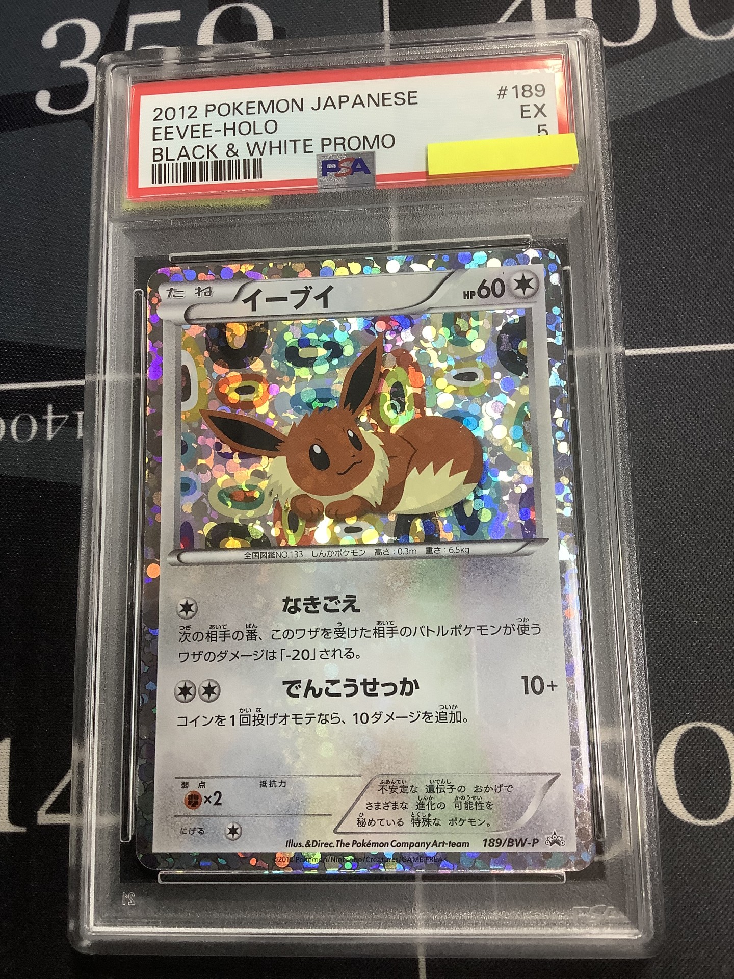 ENNDAL_TCG on X: 