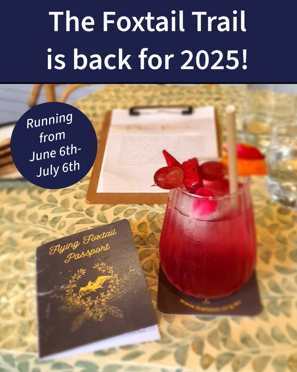 🦇Sip, stamp &amp; celebrate the bats behind your bevvy! From June 6–July 6, follow the FoxTail Trail across Cairns &amp; Kuranda.
Bat themed drinks, passport stamps, and wild bat facts await!
More: batsoc.org.au/event/foxtail-…