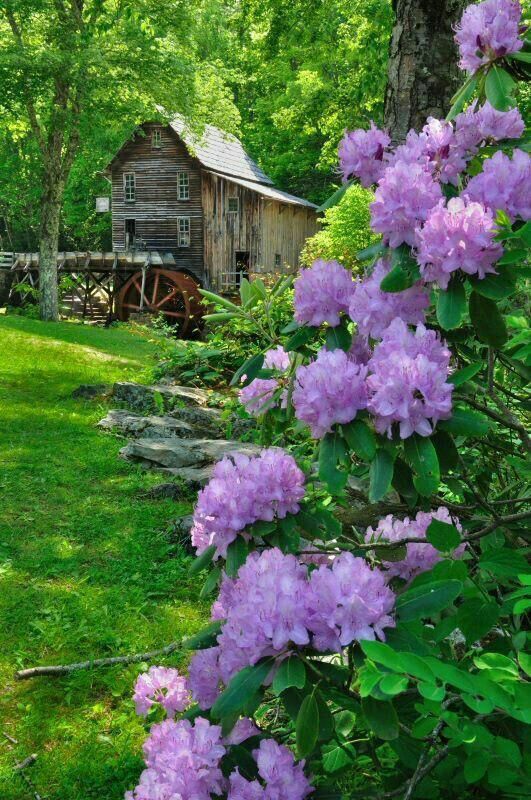 " مَا قِيمَةَ الحَيَاةَ 'إنْ لَمْ نَسْلُك
سَبيلاً يَقُودنَـا الى الْجنًّـــّة "
#نقاء_الورد