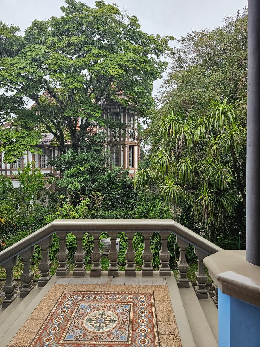 #WindowsOnWednesday 

Palacete dos Leões, Alto da Glória, Curitiba PR, Brasil.