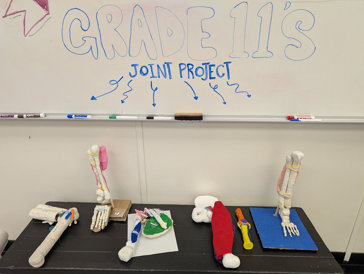 Grade 11 kinesiology, creating joints of the body with every day materials