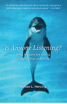 Dr. Denise Herzing’s new book Is Anyone Listening? was recently reviewed—and it’s sparking thoughtful reflection on the science of animal communication. 🐬📖

🔗 Read the full review here: …veandcomparativebiology.wordpress.com/2025/01/21/on-…