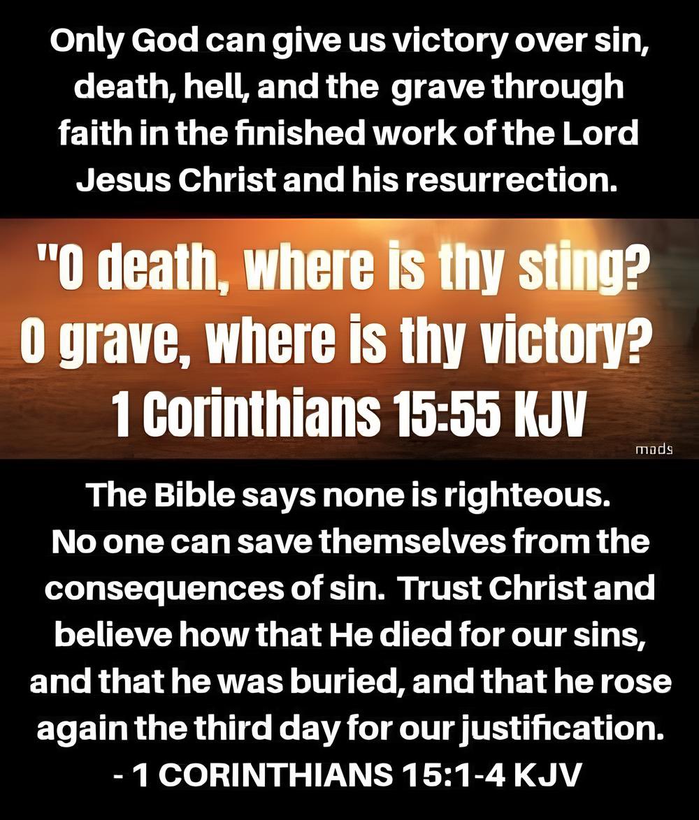 Amazing Grace🕊️ (@hisbloodsaves) on Twitter photo Receive the free gift of salvation by trusting solely in the death, burial, and resurrection of Jesus Christ and not any works or human effort of your own. Only by the grace of God can a sinner be saved through the perfect, finished work of His Son, our Savior, Jesus Christ. Receive the free gift of salvation by trusting solely in the death, burial, and resurrection of Jesus Christ and not any works or human effort of your own. Only by the grace of God can a sinner be saved through the perfect, finished work of His Son, our Savior, Jesus Christ.