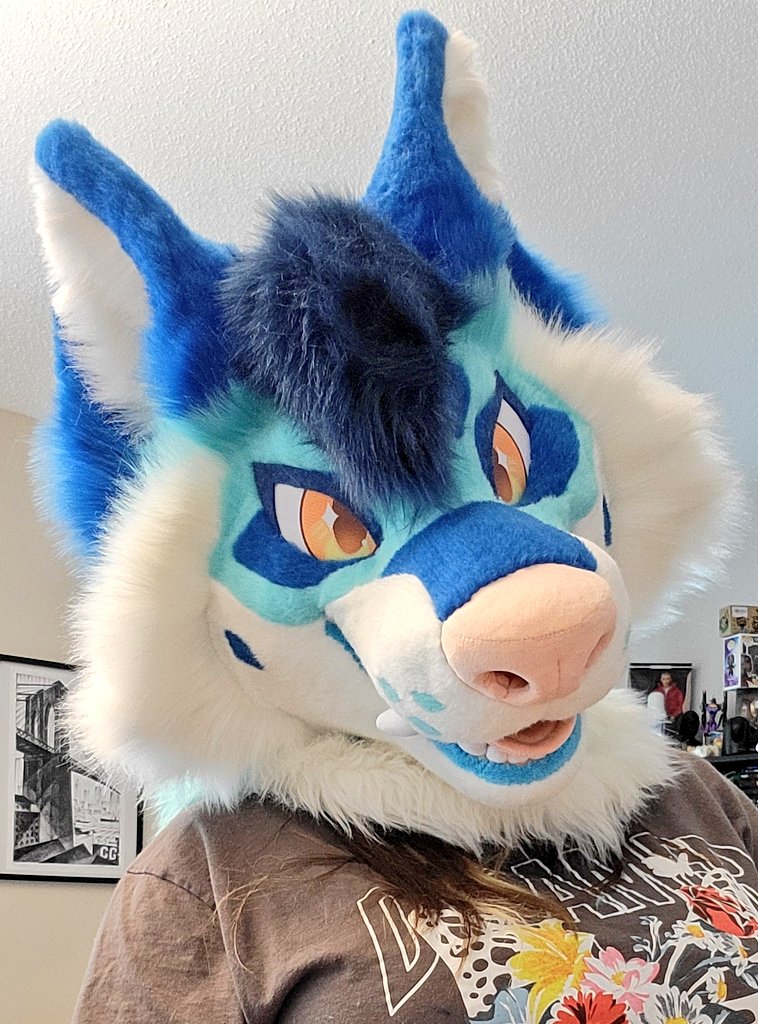 Find this fella in FWA dealers this weekend! Table P12!
