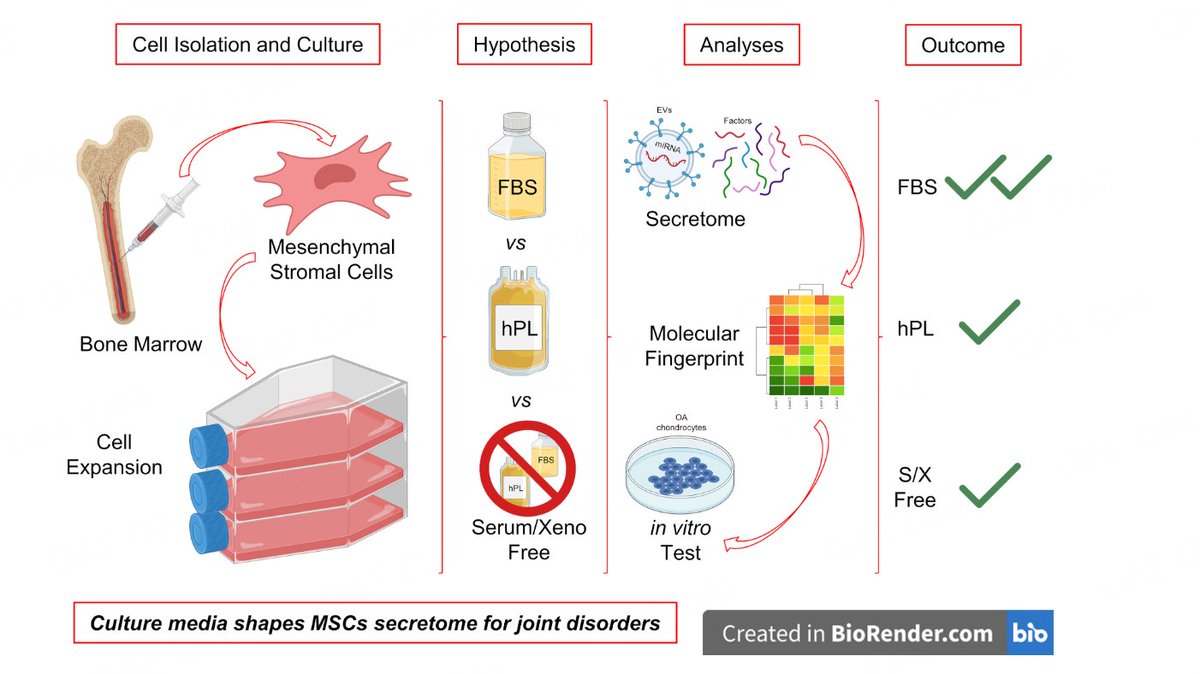 🧪 Just published! Secretome and #extracellular vesicle signatures in bone marrow-derived #mesenchymal stromal cells after expansion in standard and next-generation media 
🔍 Insightful findings by Dr. Enrico Ragni！
🆓 Open Access 👉oaepublish.com/articles/evcna…
#MSCs #Osteoarthritis