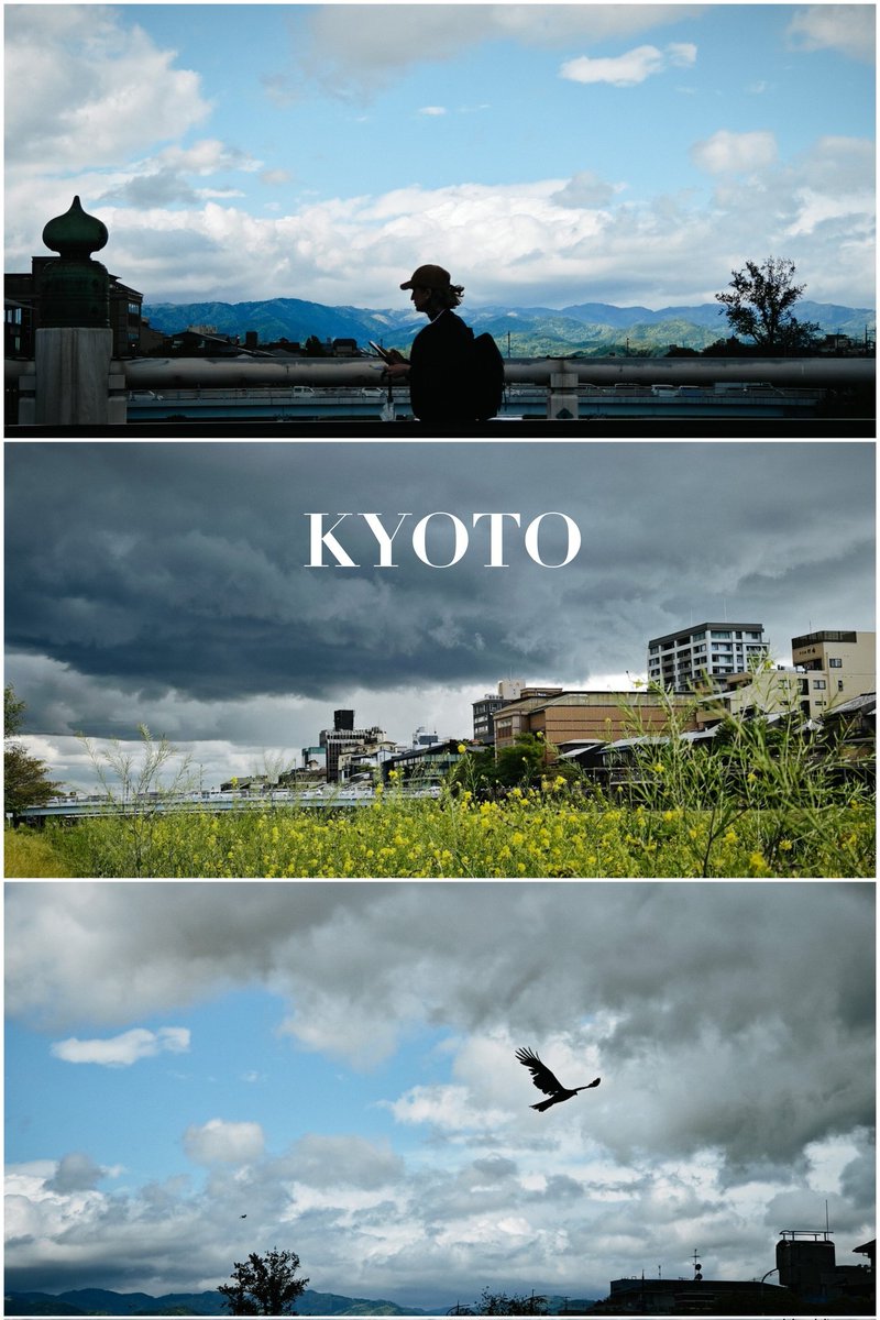 kyolens's tweet photo. #kyoto #streetphotography #streetsnap #xiaomi13ultra @XiaomiJapan https://t.co/ygvLmvfDUq