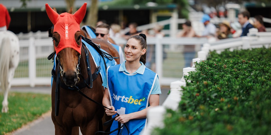 72 runners across 12 Sportsbet Jump Outs at Mornington on Wednesday.

All replays now available to view.

⏱️: bit.ly/4k8hmY6
