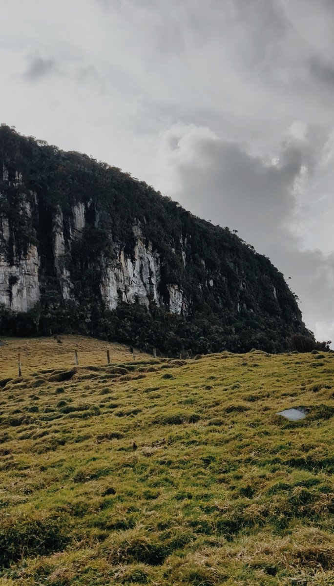 tinywasp_'s tweet photo. Postales desde la Cordillera Central. https://t.co/prPmOkcxiz