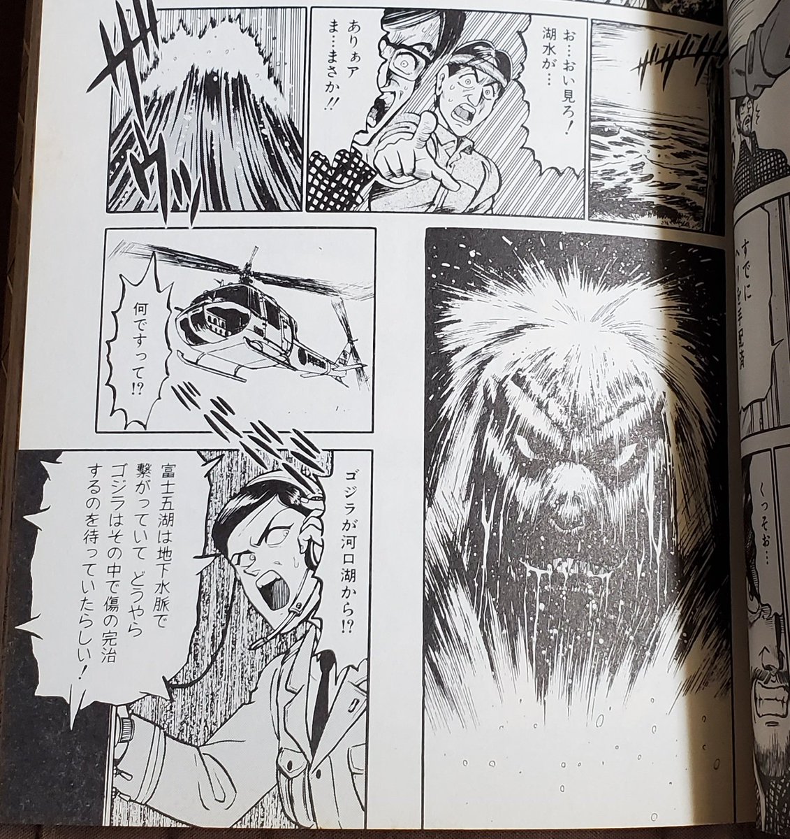 "アンソロコミックが書店の棚にしれっと並んでて、何も知らぬ子が読んだら蔵馬と飛影がホモセックスしてた"的な昔話たまにあるけど、自分にとってこれがまさにそれで、買って読んだら映画と全然違う話で『なんだこの本』ってなったの。

ただゴジラが地元(河口湖)に出現したのが嬉しかったのを憶えてる 