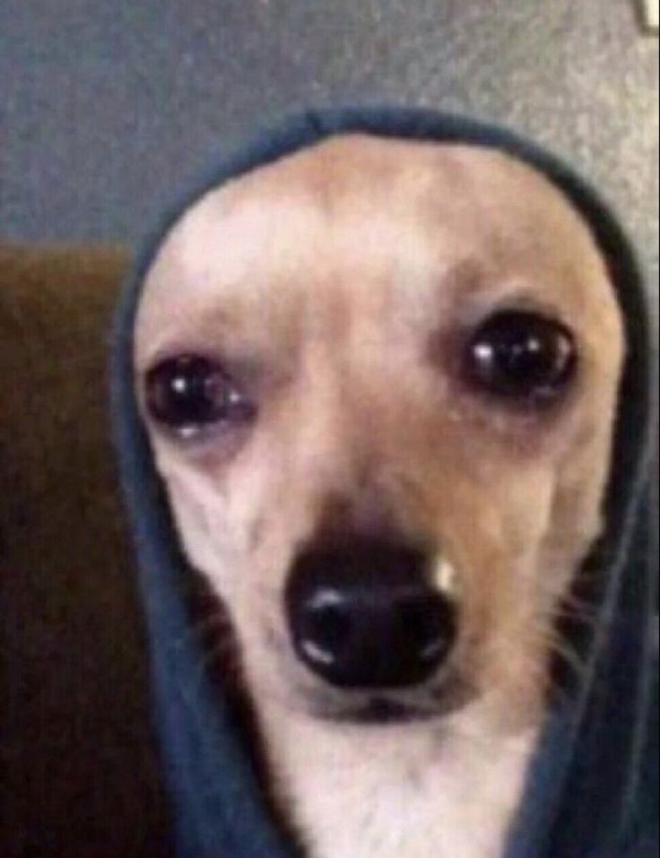 magpaalam na kayong lahat kay <a href="/cxvrlle_/">elle ᥫ᭡</a> kasi makukulong na siya. ang kaso niya ay online libel