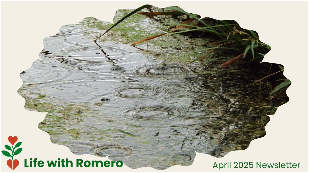 Life with Romero - April 2025 Newsletter - mailchi.mp/romerohouse/20… month, we:
✍️ Joined 200+ organizations in an open letter calling for stronger protections and dignity for refugees in Canada,
🌞 Canada Summer Jobs — we're hiring. Check our website for more details.