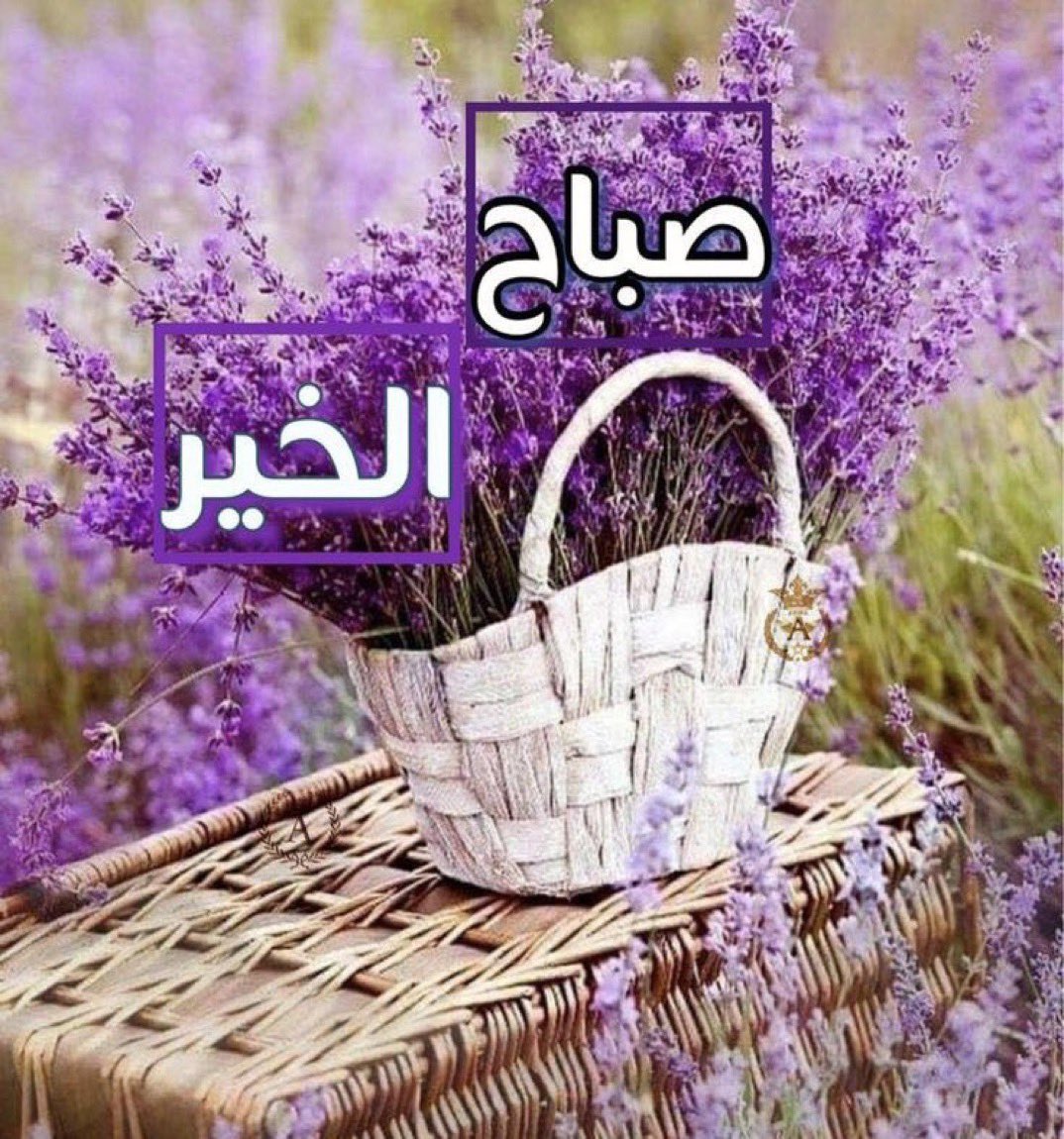 اللهُمَّ صباحات زاهية، وأياماً هانئة، 
وبشرى دانية، وخيرٌ يتدفق، وربيع عُمر لا يجف.💜🕊
#امين اسعد الله صباحكم

.

.

.

#صباح_الاجواء_الحلوه 
#مسك #بنفسج 
#احساس