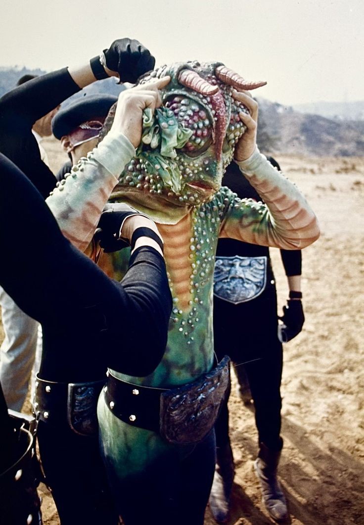 #何の脈絡もない画像を貼ってお昼