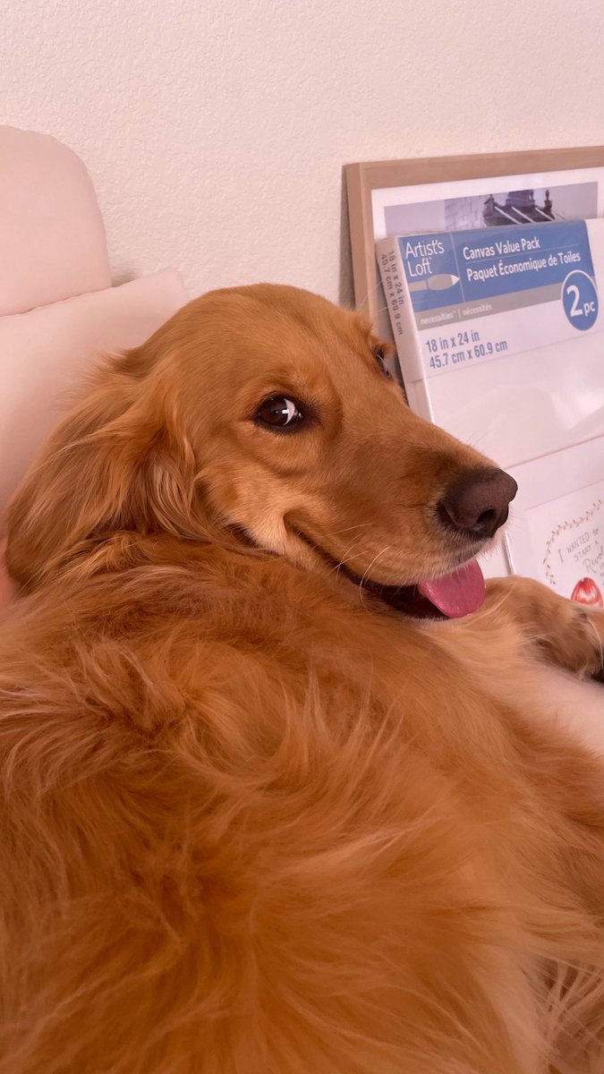 it’s her bdaaaaay. happy bday ava 🥹