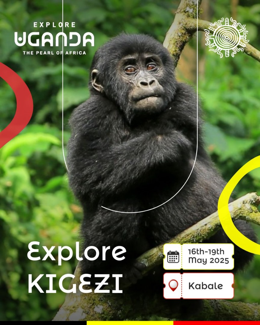 The only region that boasts of having more than 51% of the world' s population of Mountain gorillas is ready to host us for a 4days visit.  In whichever way, i will be there....
<a href="/AnitahAmong/">Anita Annet Among</a> <a href="/ExploreUganda/">Explore Uganda 🇺🇬</a> <a href="/umar_mu/">MUWONGE UMAR MULYAZAWO</a> <a href="/TourismBoardUg/">Uganda Tourism Board</a> <a href="/fsnakazibwe/">Faridah Nakazibwe</a> 
#ExploreKigezi #ExploreUganda