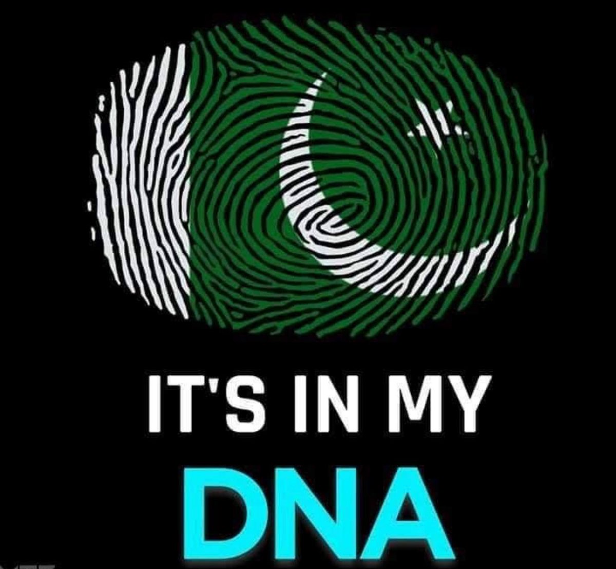 Surkhosh's tweet photo. Pakistan Zindabad 🇵🇰 https://t.co/TKQc2CJdEx