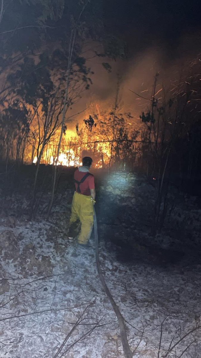 Cancunenses, se reporta un incendio en un área verde cerca de los polvorines, sobre la carretera Cancún–Mérida.

Gracias a la rápida intervención de nuestros <a href="/BomberosCancun/">Bomberos Cancun</a>, el incendio se mantiene bajo control. (1/2)